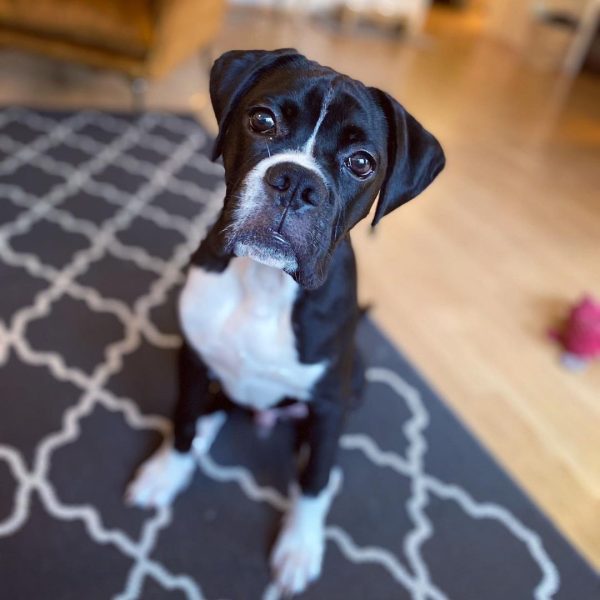 WhatsApp Image 2026-03-24 at 15.59.24 (1)