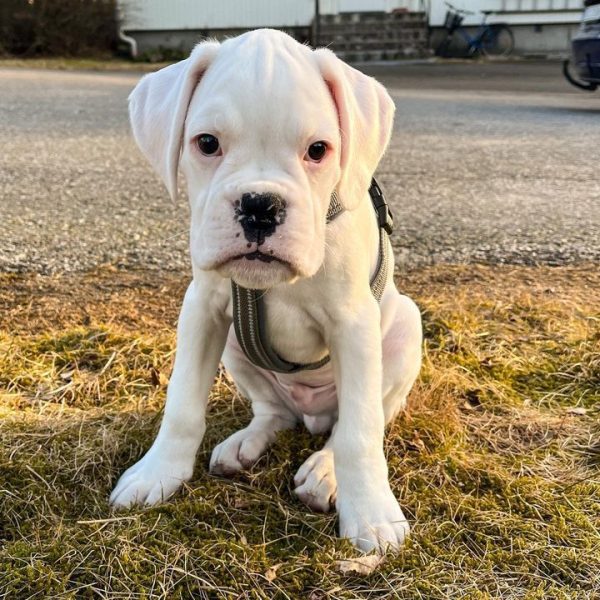 WhatsApp Image 2026-03-24 at 15.59.24 (2)