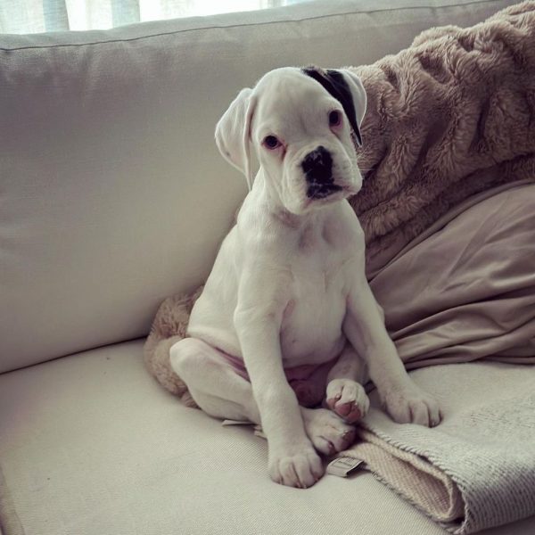 WhatsApp Image 2026-03-24 at 15.59.25 (2)