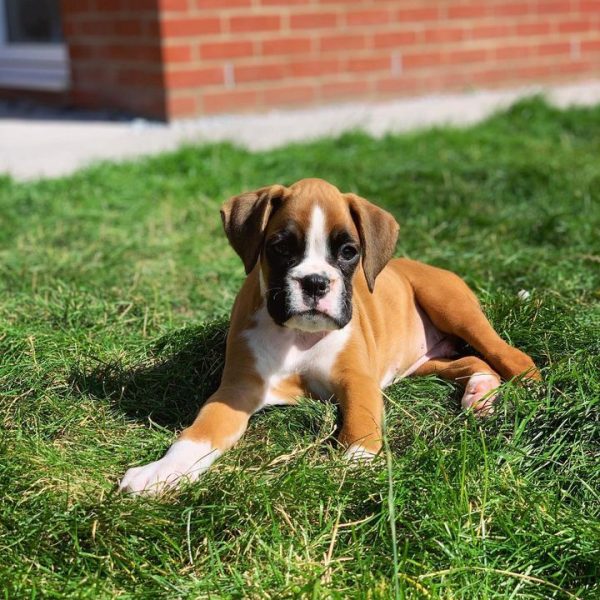 WhatsApp Image 2026-03-24 at 15.59.25