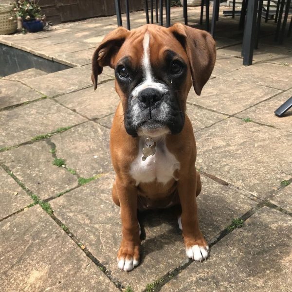 WhatsApp Image 2026-03-24 at 15.59.26 (1)