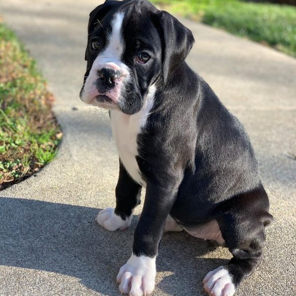 WhatsApp Image 2026-03-24 at 15.59.26 (2)